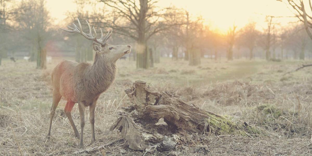 Гидропоника и современные методы выращивания: зелень без грунта и лишних хлопот