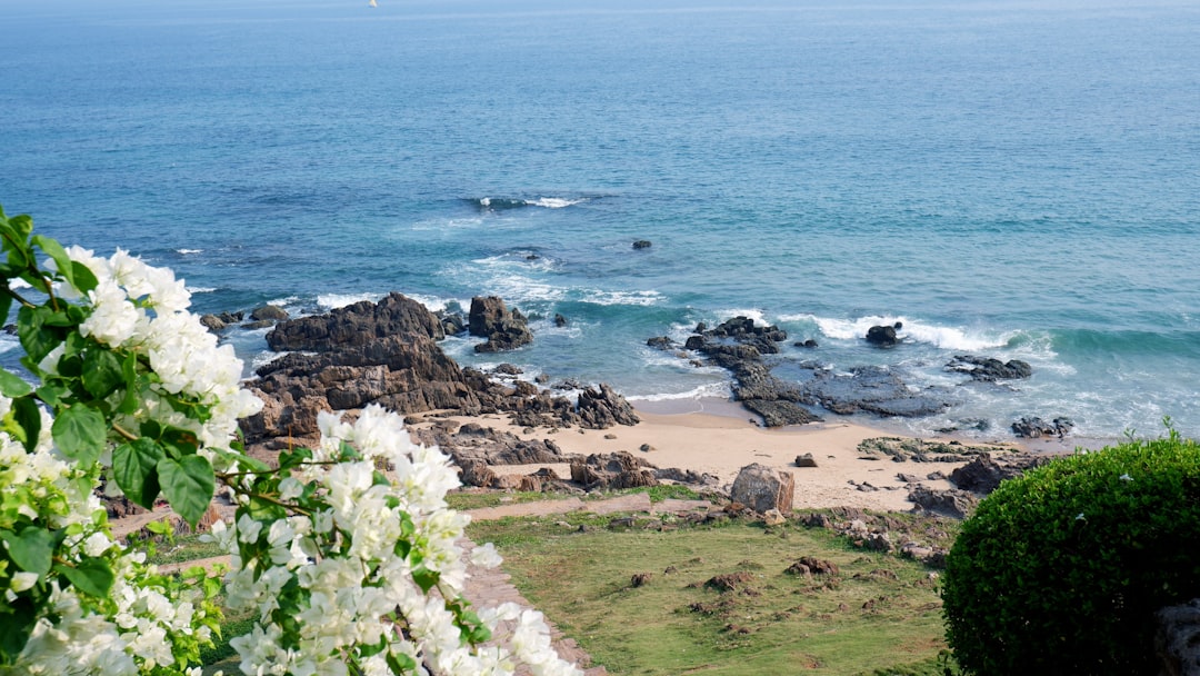 Полив и системы орошения: как дать растениям воду вовремя и без перерасхода