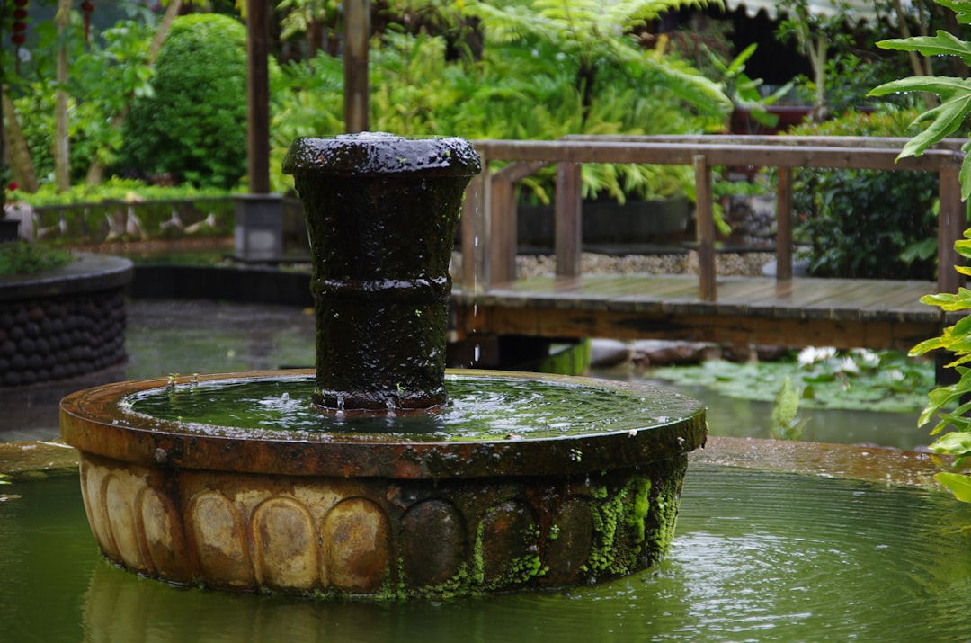 Полив и системы орошения: как поливать меньше, а выращивать лучше